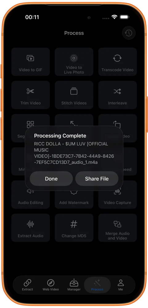 出现 Processing Complete，音频已生成为 M4A 文件